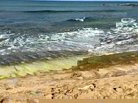 Ancient Hawaiian petroglyphs on a beach are visible again with changing tides and shifting sands