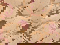 coffee stains