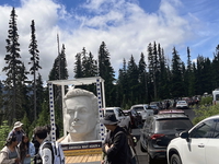 Elon Musk sculpture stuck in traffic at Mt. Rainier National Park