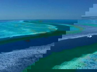 Mainstream Naysayers Gather As Hopes Rise For 4th Year Of Record Coral On The Great Barrier Reef