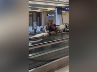 Man on airport golf cart