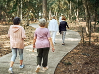 Rear view of a group of senior women enjoying a walk along a scenic park trail