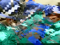 Robot Nearly Decapitates Man In Gruesome Surgery Fail