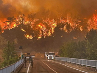 turkey fire