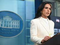 US Director of National Intelligence Tulsi Gabbard in July accused former president Barack